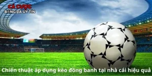 Kèo Đồng Banh – Bí Quyết Đọc Vị Hiệu Quả Trong Thể Thao